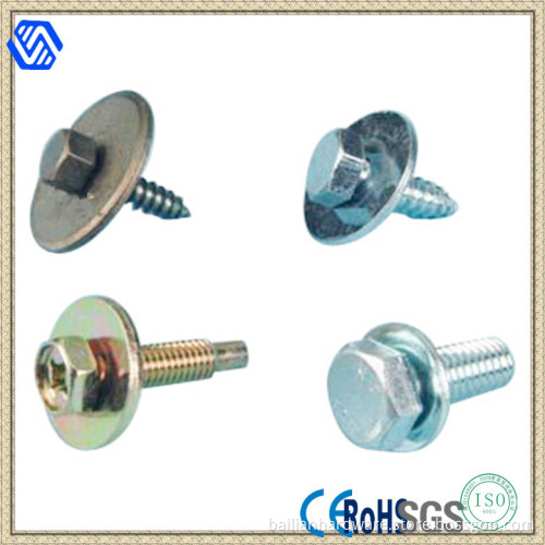 Hex Head/Round Head /Countersunk Head Screw for Sale